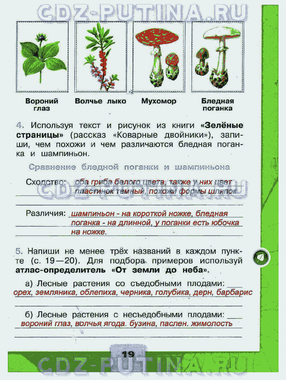 Книга зеленые страницы текст коварные двойники