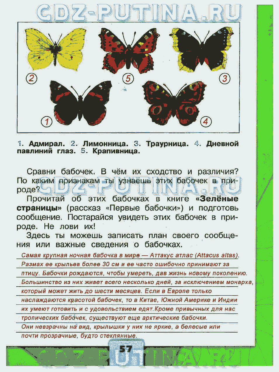 Книга зеленые страницы 2 класс первые бабочки