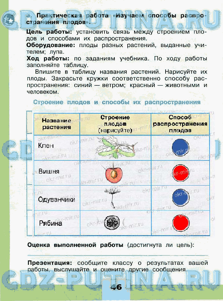 Окружающий мир 3 класс рабочая 50. Строение плодов и способы их распространения таблица. Практическая работа изучаем способы распространения. Практическая работа изучаем способы распространения плодов. Способы изучения окружающий мир 3 класс рабочая тетрадь.