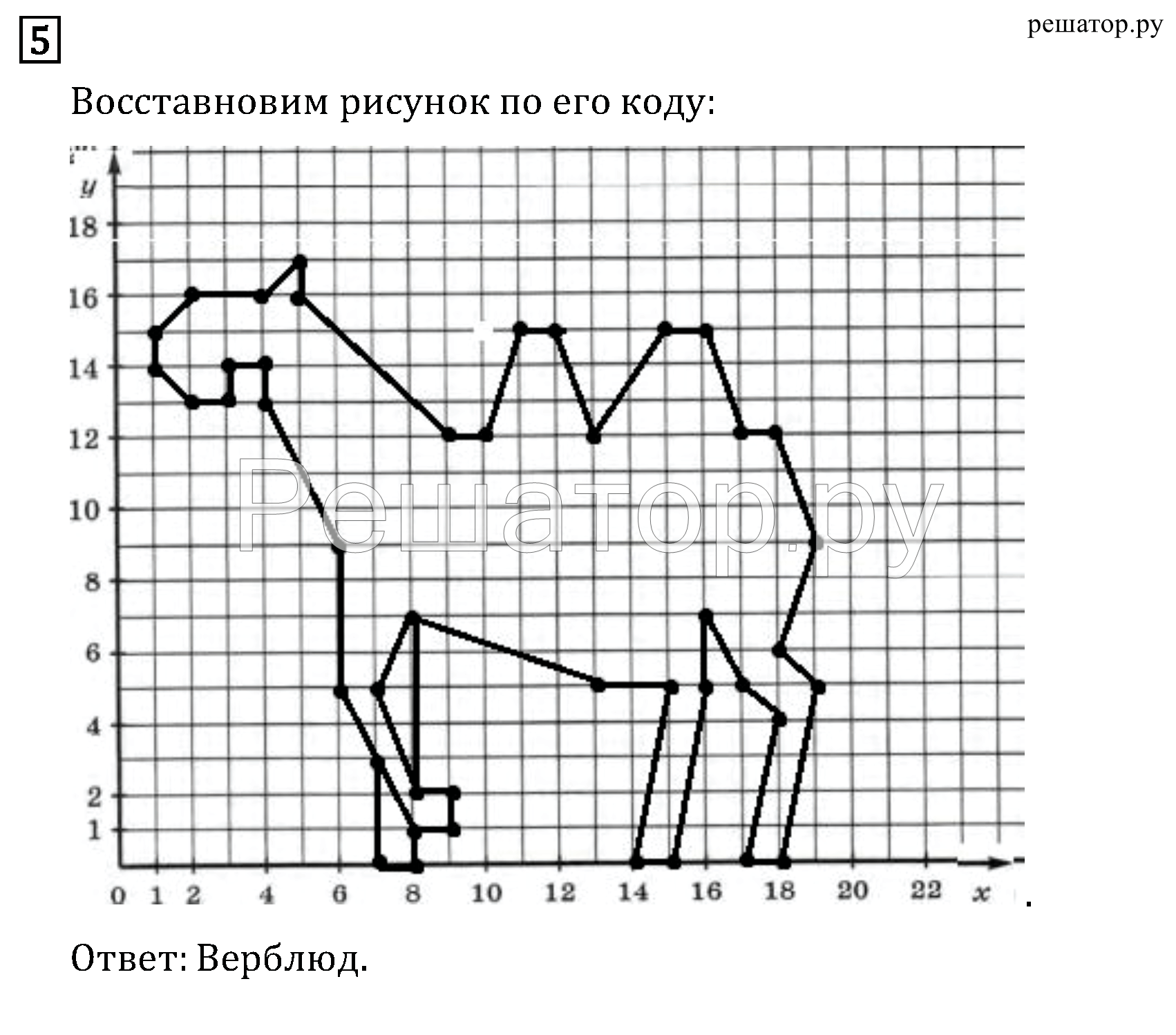 Рисунок по координатам верблюд