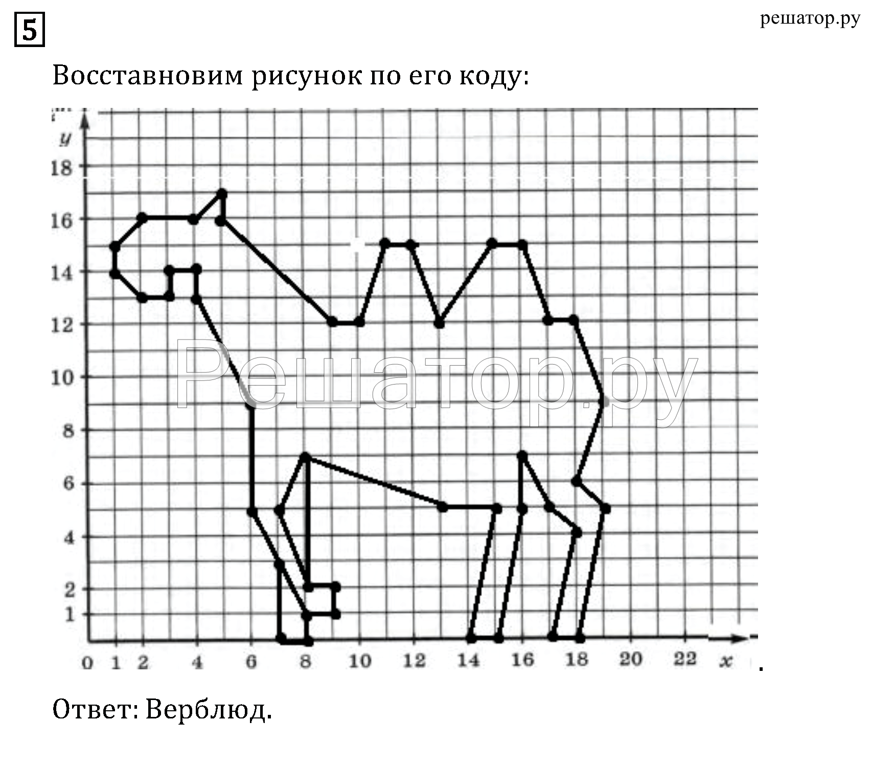 Координатная плоскость рисунок сорока